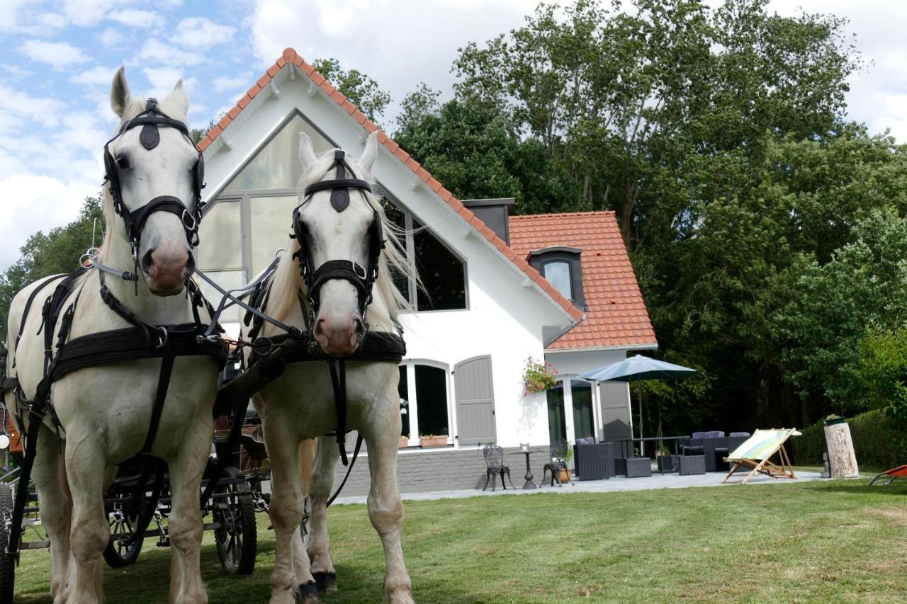 La Garonde Bed & Breakfast Boeschepe Exterior foto